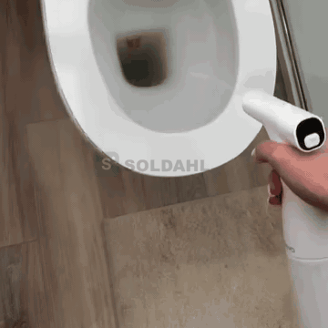 Slik bruker du WC-spyleren