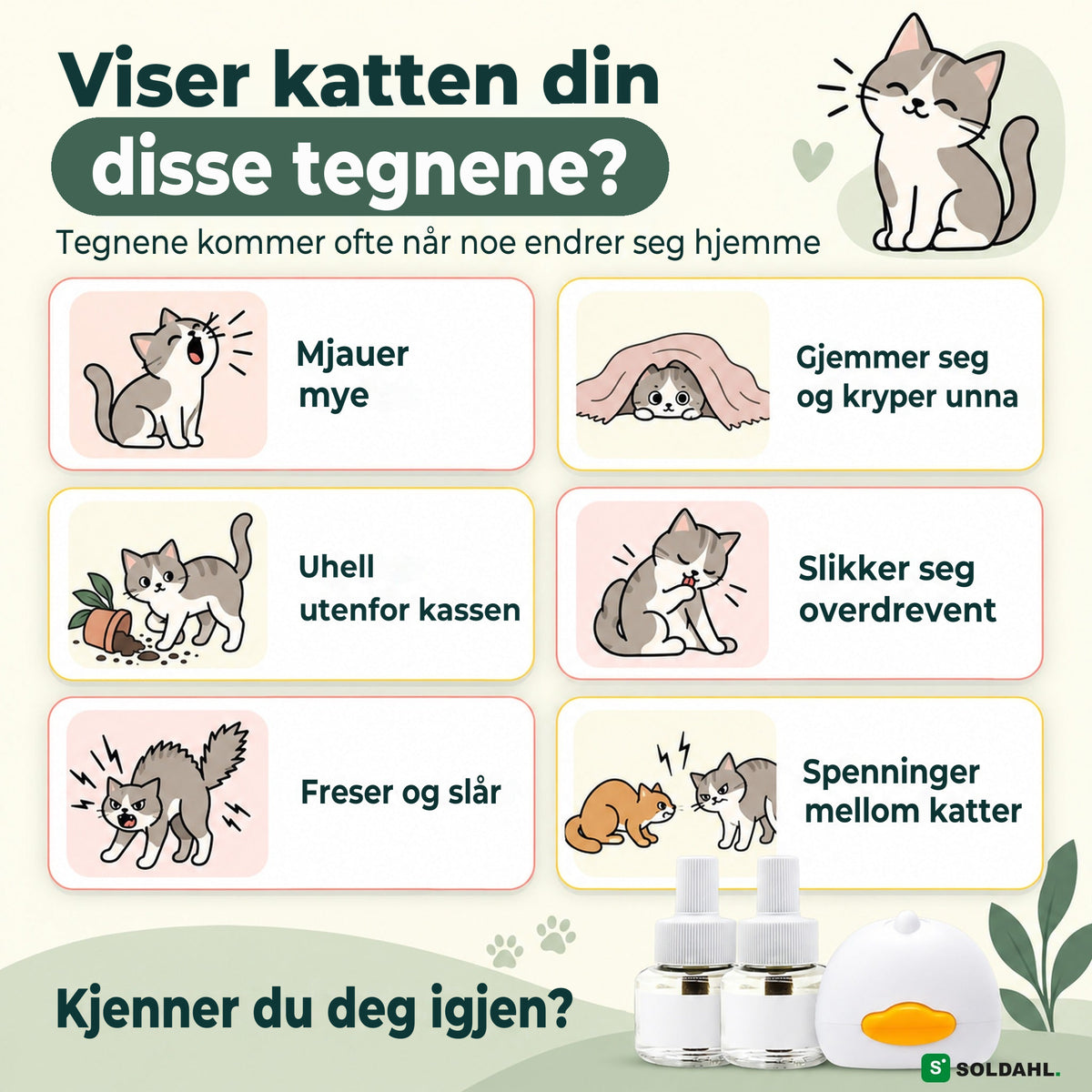 Tegn på en urolig katt: mjauer, gjemmer seg, freser og spenninger mellom katter
