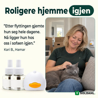 Kvinne i sofaen med en rolig grå katt etter flyttingen, Lugnhem i kontakten ved siden av