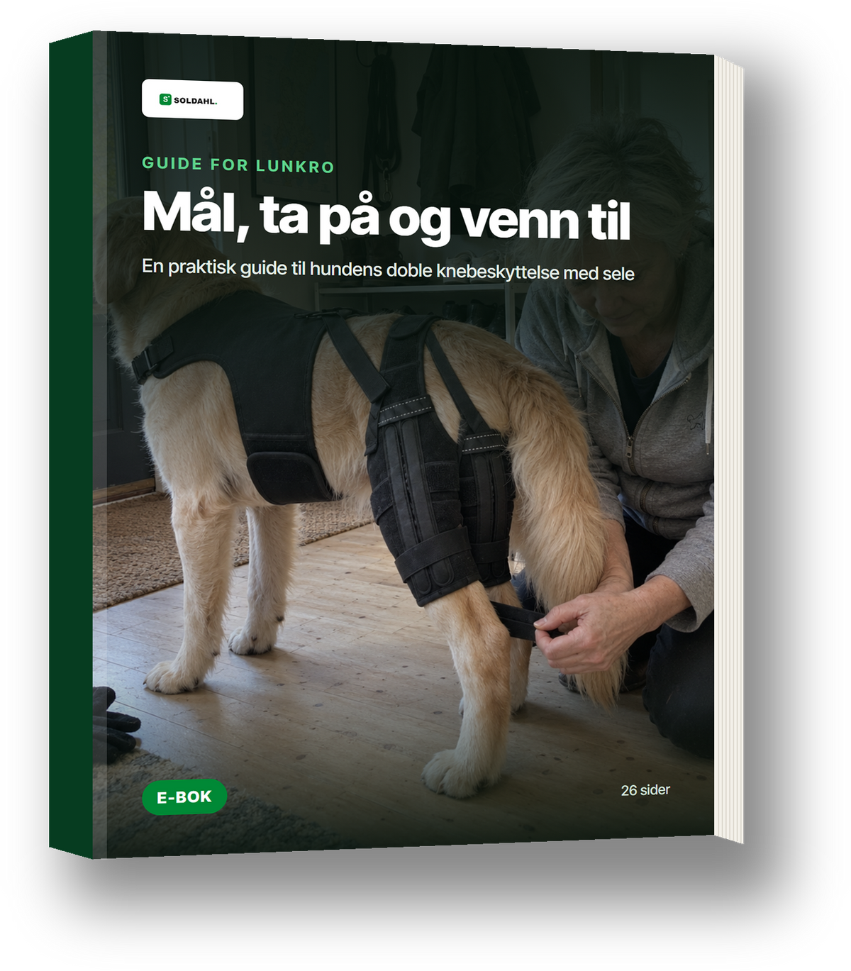 E-bok Mål, ta på og venn til, Lunkro