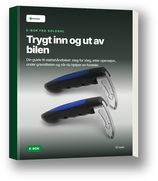 E-boken Trygt inn og ut av bilen fra Soldahl
