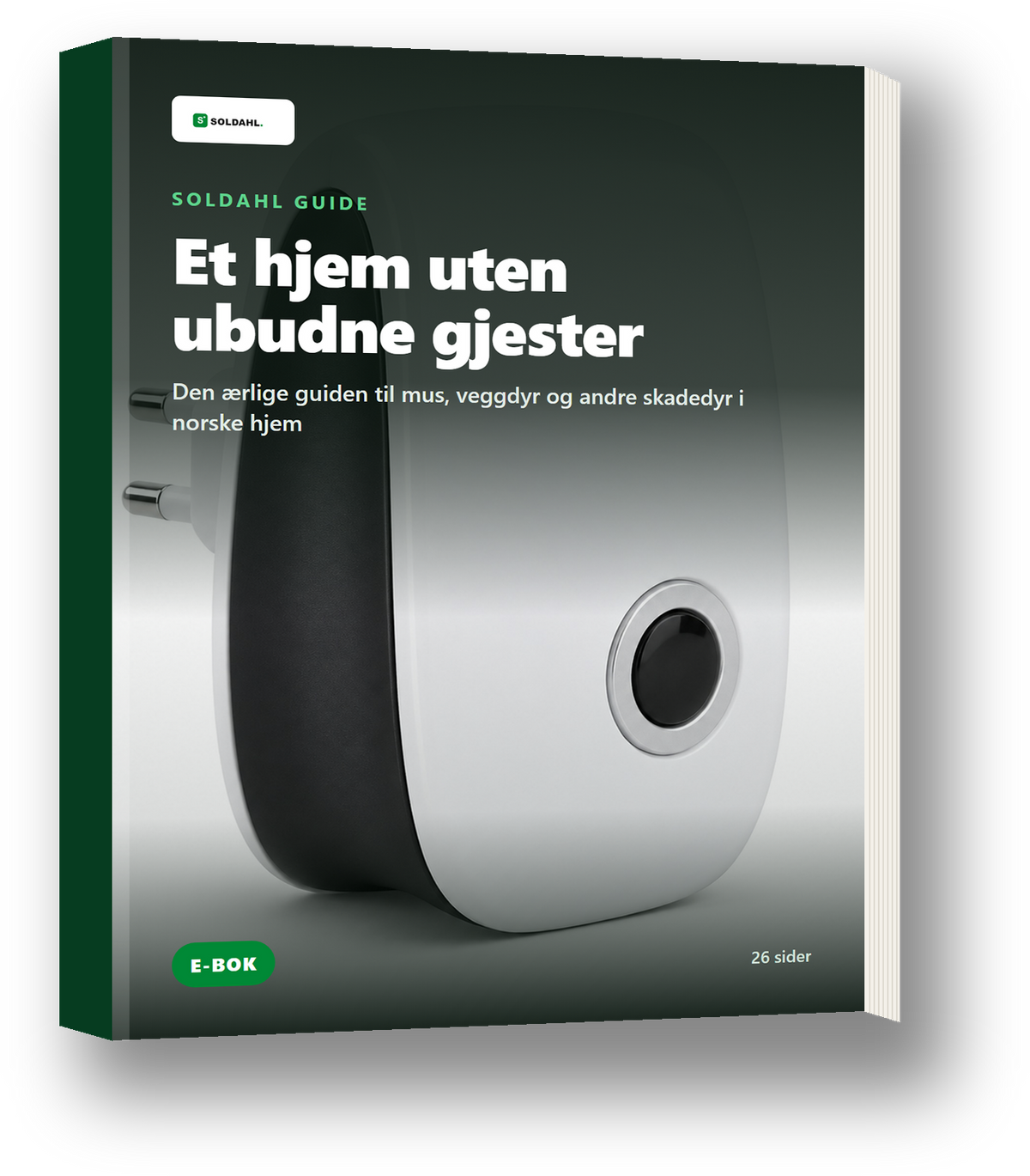 E-boken Et hjem uten ubudne gjester fra Soldahl