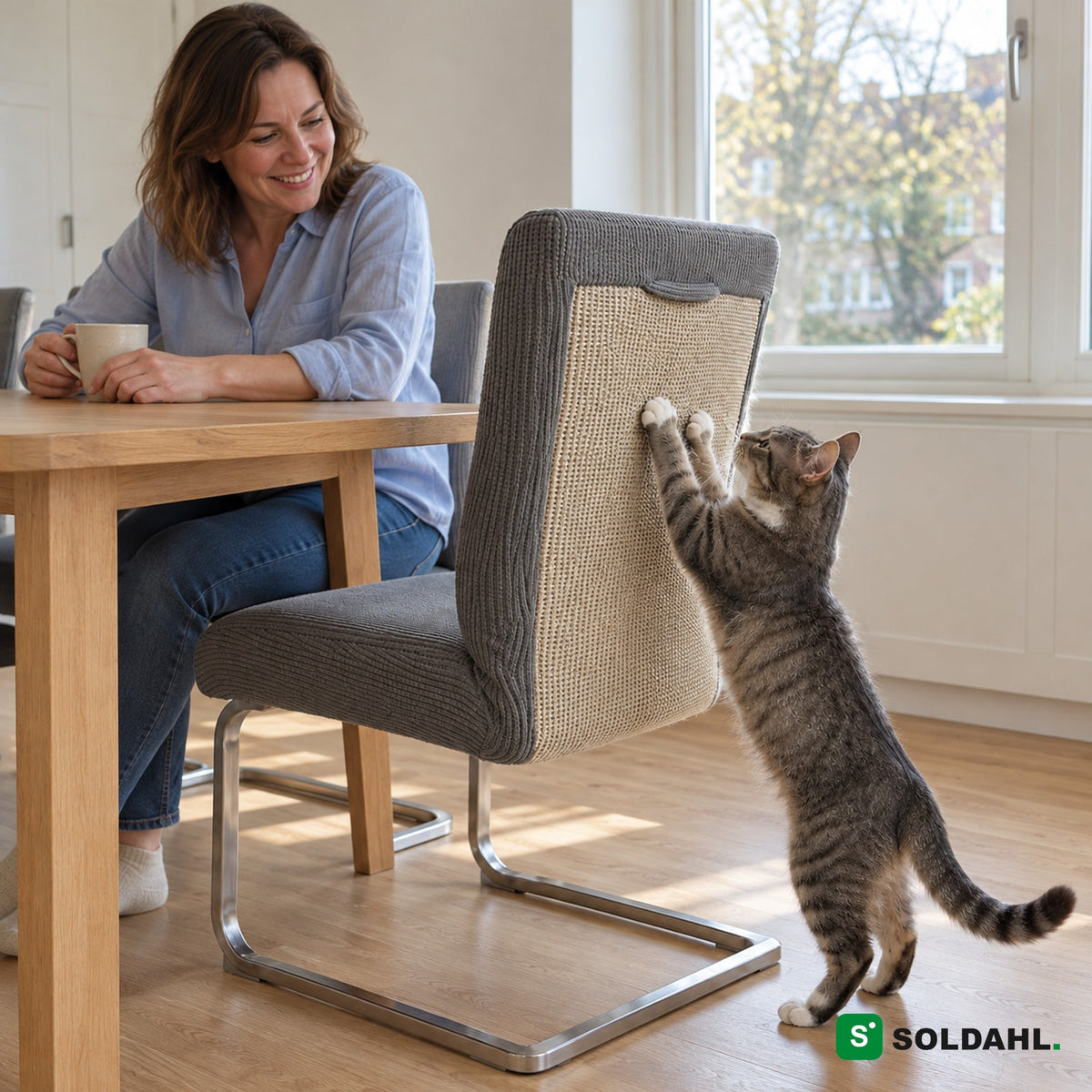 Kvinne ved kjøkkenbordet smiler til katten som klorer på sisalen på en stol med Kløra