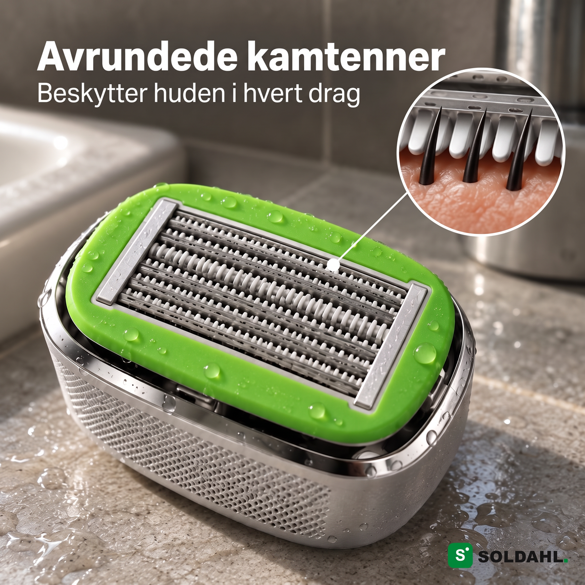 Avrundede kamtenner foran bladene på Blankrak