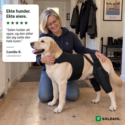 Kvinne klemmer labradoren sin som har på seg Lunkro, med kundesitat fra Camilla R.