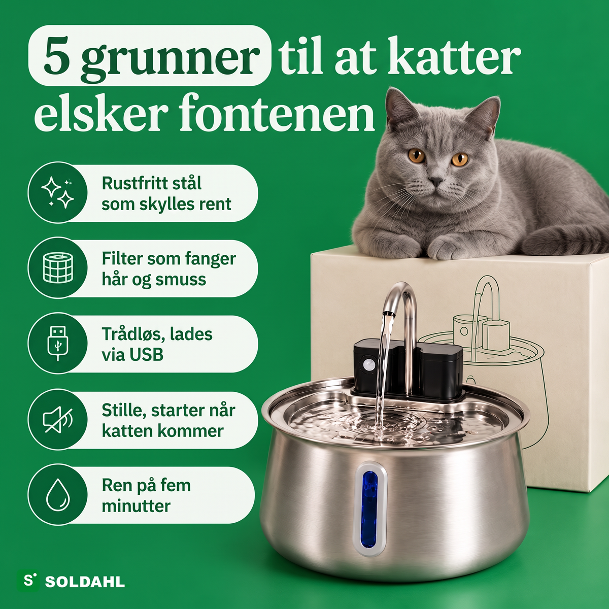 Fem grunner til at katter elsker fontenen i rustfritt stål
