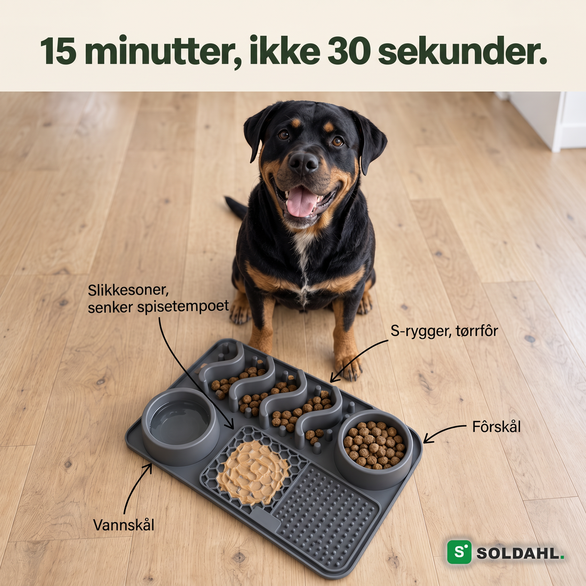 15 minutter, ikke 30 sekunder. Sonene i saktespiseskålen: vannskål, S-rygger, slikkesoner, fôrskål