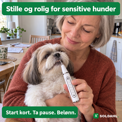 Kvinne holder en liten hund i fanget og bruker Tandro mot en tann