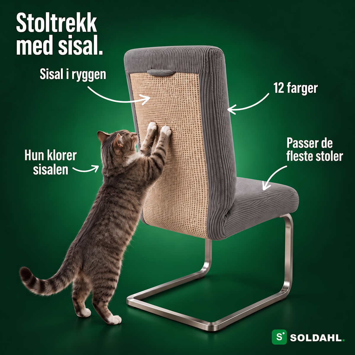 Stoltrekket Kløra med sisal i ryggen, pekere og en katt som klorer på sisalen